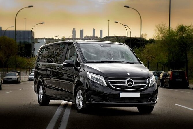 Minivan Departure Transfer Helsinki City to Helsinki Airport HEL - Who This Helsinki Airport Transfer Fits Best