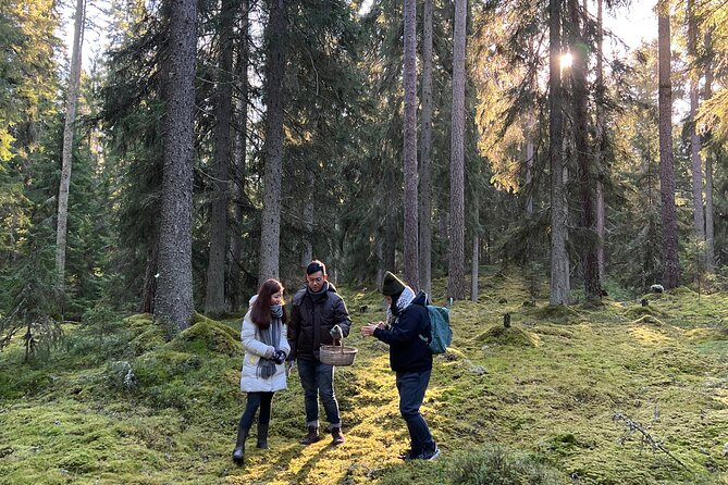 Mushroom Hunting in a National Park - Price, Small Group Size, and Sustainability Value