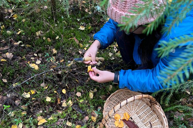 Mushroom Hunting in a National Park - Is It Worth Booking? Who Should Go, and Who Might Skip
