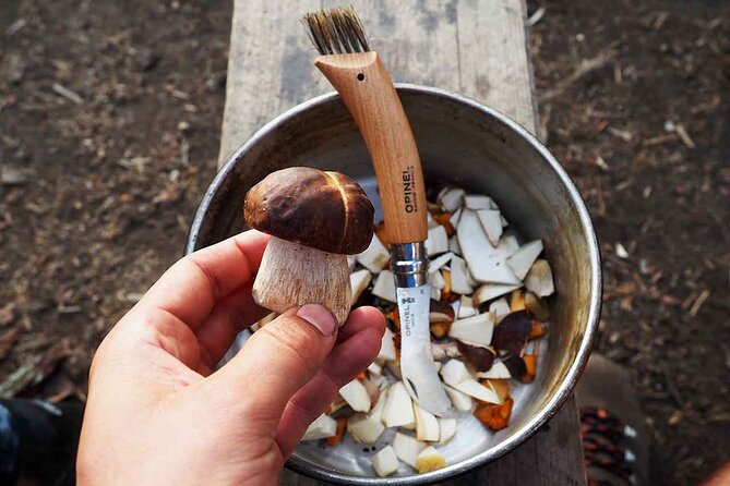 Mushroom Hunting in a National Park - FAQ