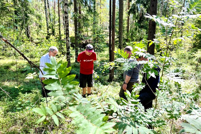 National Park Hike & Finnish Smoke Sauna Experience with Campfire Lunch - Campfire Lunch in the Middle of Nature Time