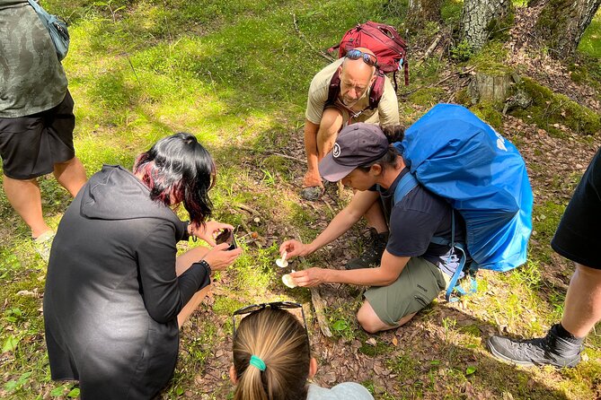 National Park Hike & Finnish Smoke Sauna Experience with Campfire Lunch - Smoke Sauna Rhythm: Sweat, Cool Down, Repeat, Then Shower