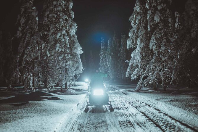 Night Snowmobile Safari, Rovaniemi - Key things I think you will care about most