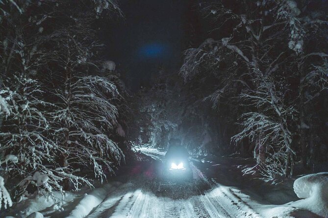 Night Snowmobile Safari, Rovaniemi - Bonfire Break Details, Hot Drinks, and Time to Look Up