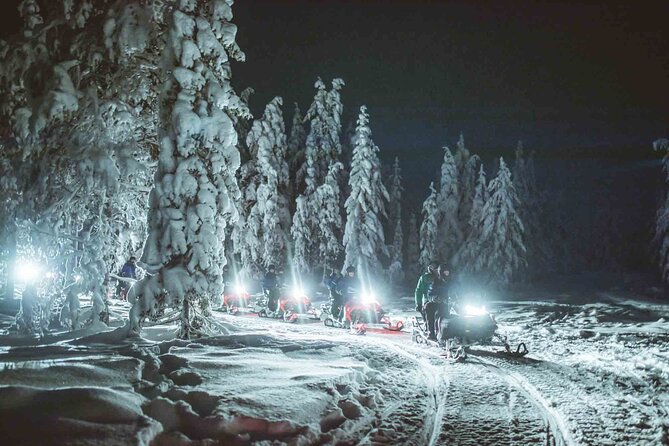 Night Snowmobile Safari, Rovaniemi - Northern Lights Odds: What You Can Control and What You Can’t