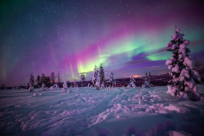 Night Snowshoeing Adventure under the Northern Lights - Key highlights to know before you go