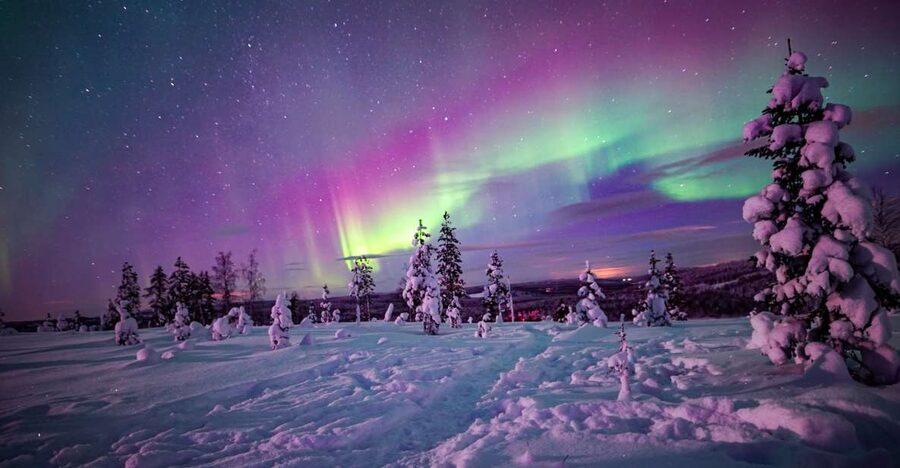Night Snowshoeing Adventure under the Northern Lights - Who this tour fits best, and who should skip it