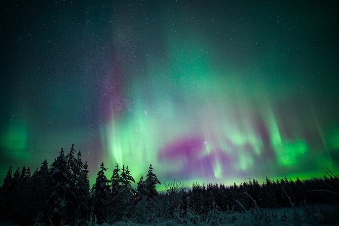 Night Snowshoeing Adventure under the Northern Lights - Pickup, drop-off, and why city center logistics can be different