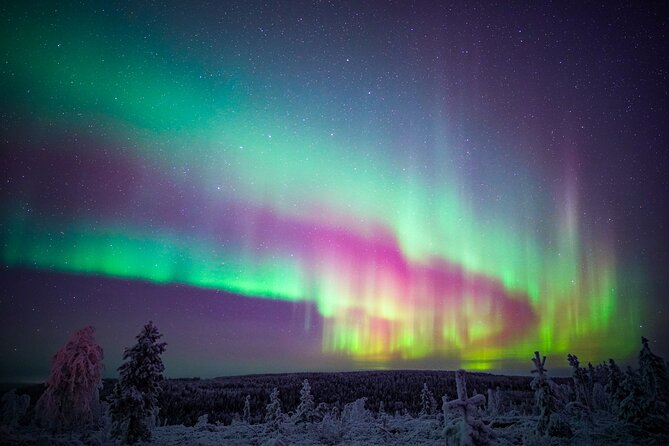 Night Snowshoeing Adventure under the Northern Lights - The guide matters: pacing, explanations, and small-group focus
