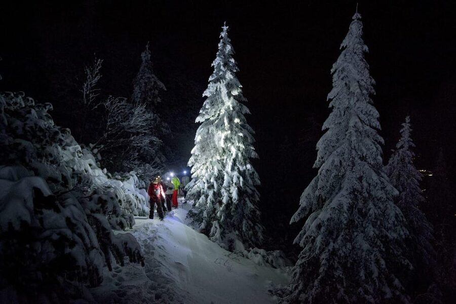 Night Snowshoeing Lapland Experience - Key highlights you will care about