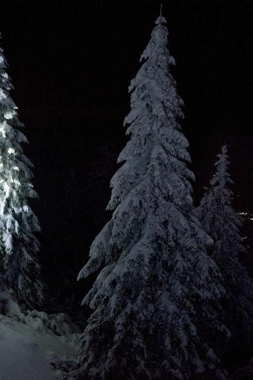 Night Snowshoeing Lapland Experience - Why night snowshoeing in Rovaniemi feels special