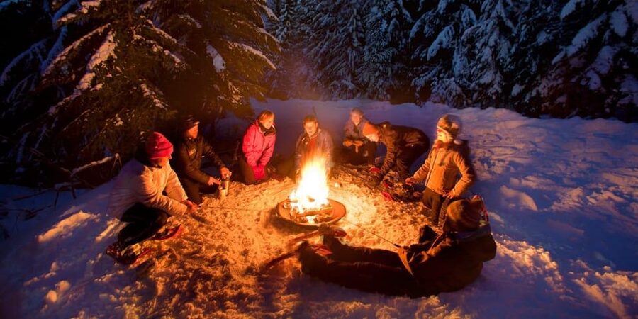 Night Snowshoeing Lapland Experience - Price and value: is $176 worth it?