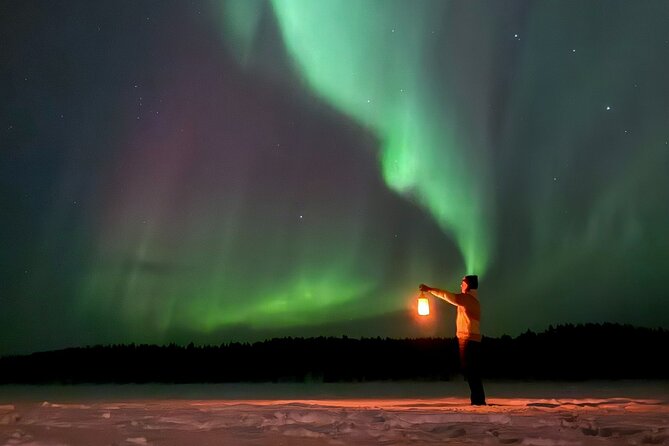 Northern Lights Adventure in the Wild with Campfire Treats - Key Highlights You Will Really Notice