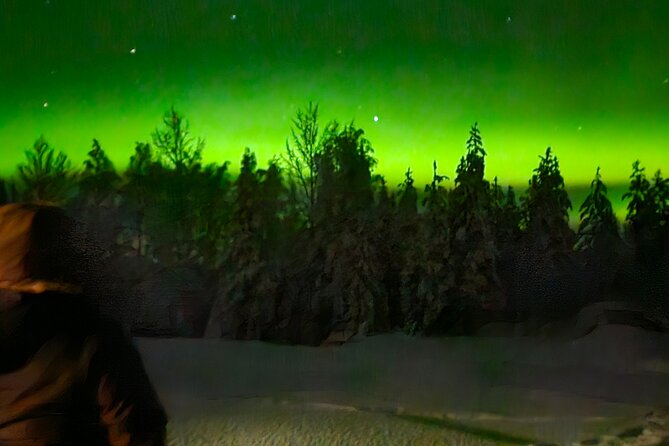 Northern Lights Auroras from Kemi-Tornio with Pickup - Group size up to 50, and what that means for the experience