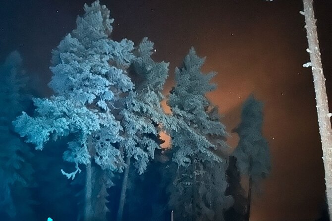Northern Lights dinner in a Glass Igloo - Cold-weather tips so the night stays fun