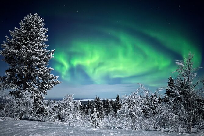 Northern Lights Holiday in Finland - Arriving in Ivalo: meet, settle, and get warm fast