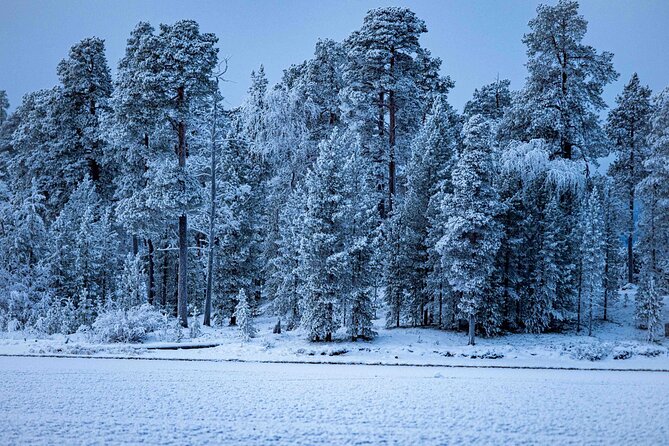 Northern Lights Holiday in Finland - Backcountry skiing plus a remote Aurora Camp night