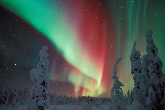 Northern Lights Hunt from Rovaniemi with Folk Tales and Snacks over Campfire - Key highlights worth your attention