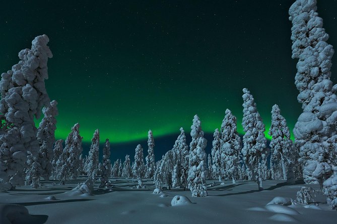Northern Lights Hunt from Rovaniemi with Folk Tales and Snacks over Campfire - Price and logistics: what you actually get for $150.20