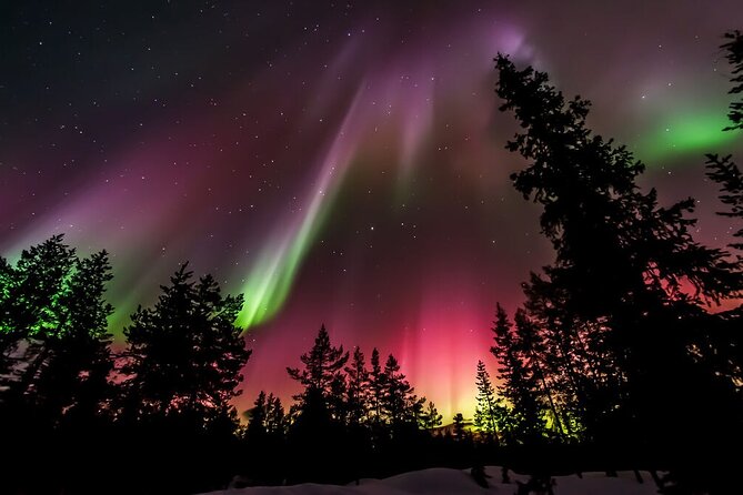 Northern Lights Hunt from Rovaniemi with Folk Tales and Snacks over Campfire - Who this tour fits best, and who should skip it