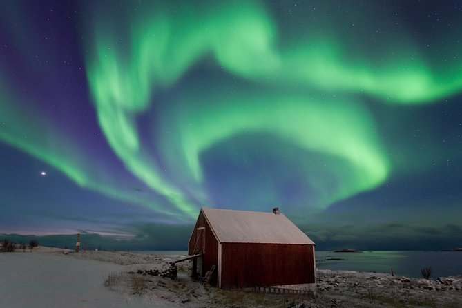 Northern Lights Hunt Including Snacks on Campfire from Rovaniemi - Transport, Group Size, and Why Timing Affects Your Campfire Experience