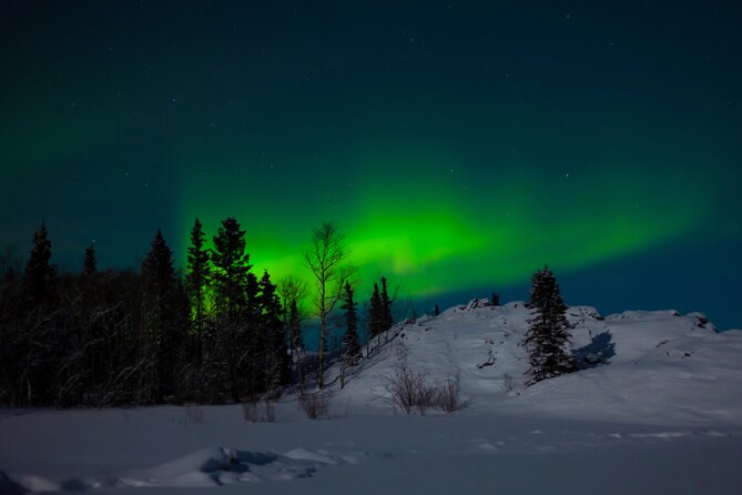 Northern Lights Hunting of Rovaniemi - Northern Lights hunting starts at 8:00 pm for a reason