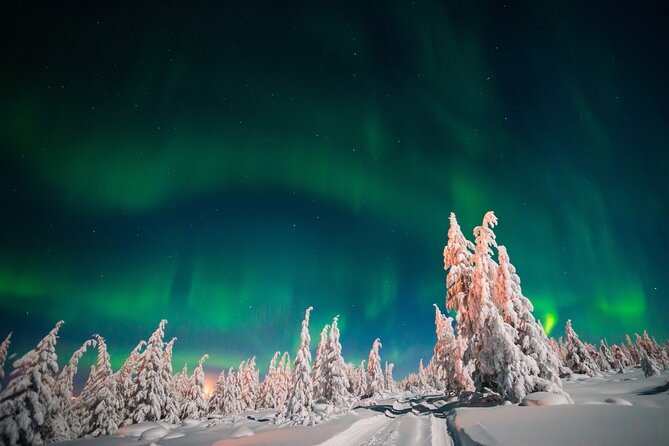 Northern Lights Hunting of Rovaniemi - Aurora photo help: what you get besides a pretty story