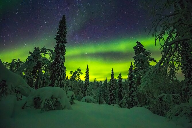 Northern Lights Hunting of Rovaniemi - Who should book this Rovaniemi Northern Lights night