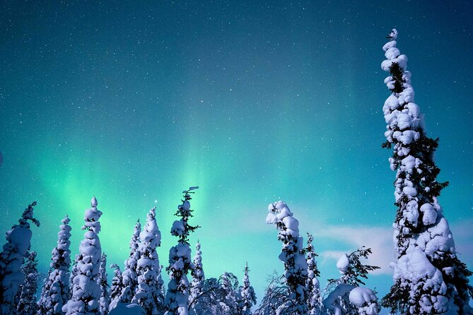 Northern Lights Hunting Photography Tour in Levi - Where You Meet and How Pickup Works in Levi