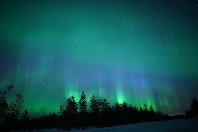 Northern Lights Hunting Photography Tour in Rovaniemi Finland - Key takeaways before you book
