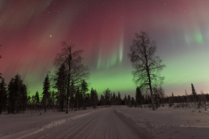 Northern Lights Hunting with a photographer (Only small groups) - Northern Lights hunting in Rovaniemi, but with a photographer mindset
