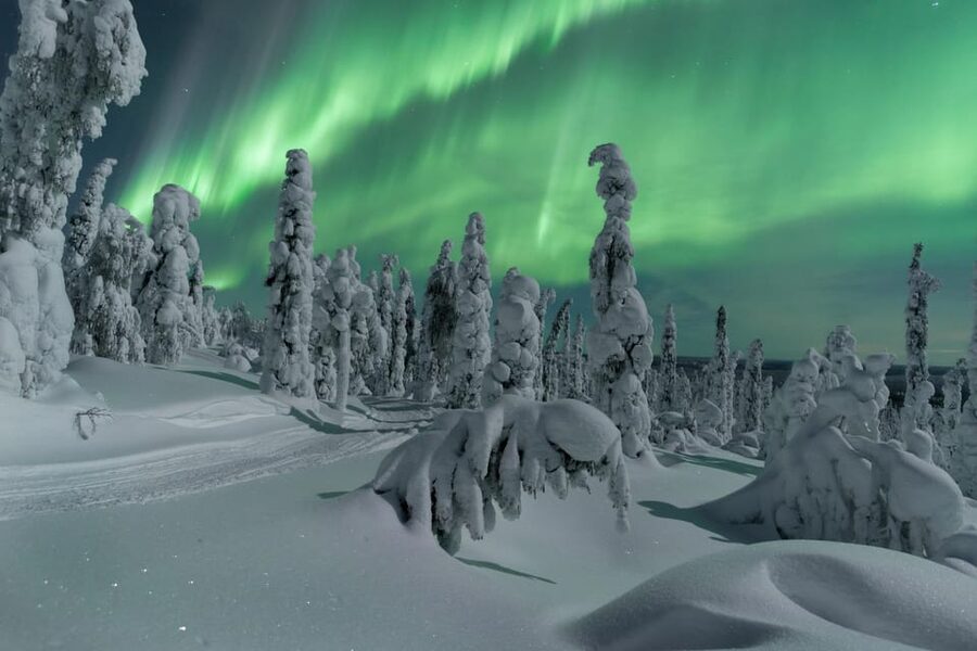 Northern Lights Hunting with Aurora Workshop - Quick hits before you go