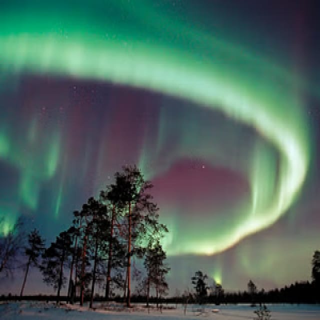 Northern Lights Hunting with Aurora Workshop - Booking Timing, Weather Calls, and a Plan B That Helps
