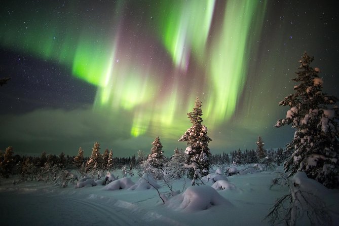 Northern Lights Hunting with Snowmobiles - Why this Rovaniemi aurora hunt feels different on a snowmobile