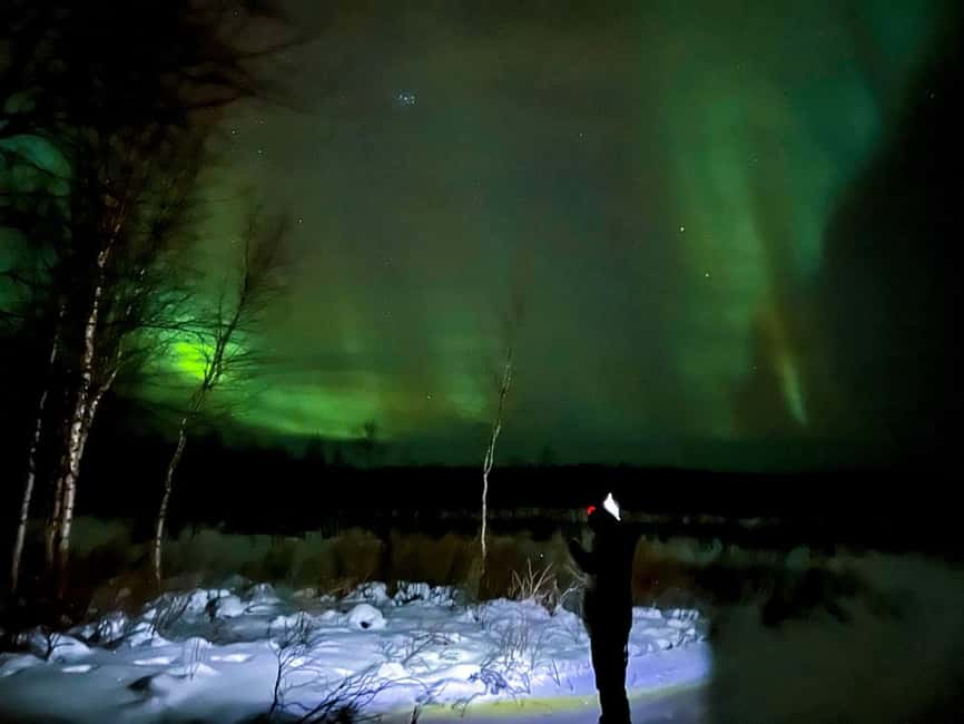 Northern lights private tour Rovaniemi - Timing The Aurora Season: September to April, plus winter daylight patterns
