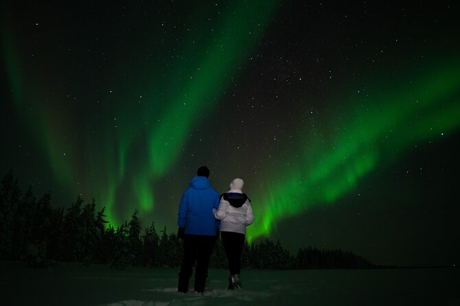 Northern Lights Reindeer Sledge Ride - Key things to know before you go
