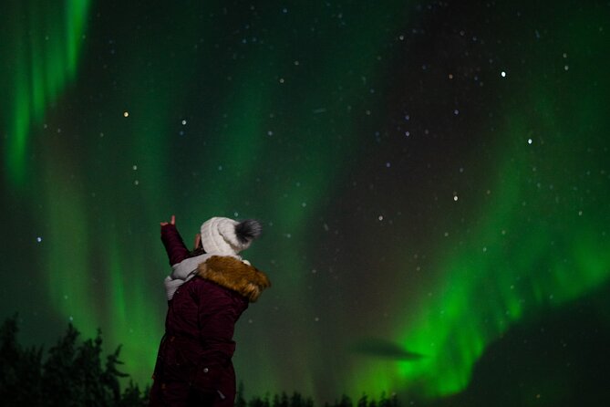 Northern Lights Reindeer Sledge Ride - Entering Lapland from the Rovaniemi pick-up point