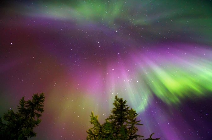Northern Lights Reindeer Sledge Ride - The 20-minute reindeer sleigh ride that sets the tone