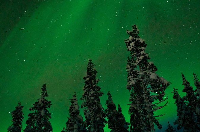 Northern Lights Reindeer Sledge Ride - The kota, campfire warmth, and herding stories that actually connect