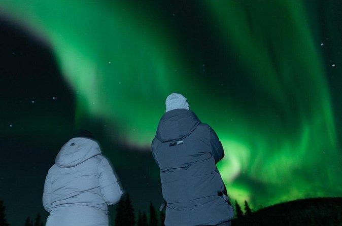 Northern Lights Rovaniemi: Guaranteed Tour with Local Guide - Price and Value: What $168.17 Buys You (and What It Does Not)