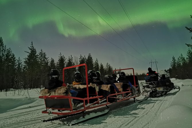 Northern Lights Sledge Ride - Key highlights worth knowing