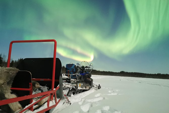 Northern Lights Sledge Ride - The 8:00 pm aurora hunt, and why this format works