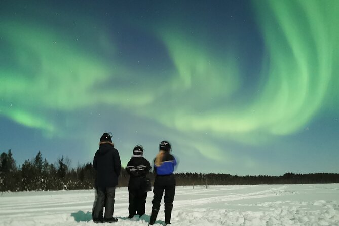 Northern Lights Sledge Ride - Northern Lights odds: weather, timing, and light pollution