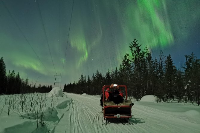 Northern Lights Sledge Ride - The guides: a big part of the value