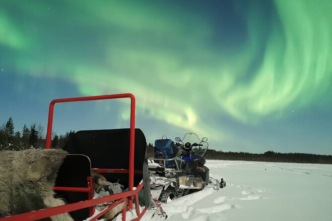 Northern Lights Sledge Ride - Price and logistics: do you get value for $92.52?
