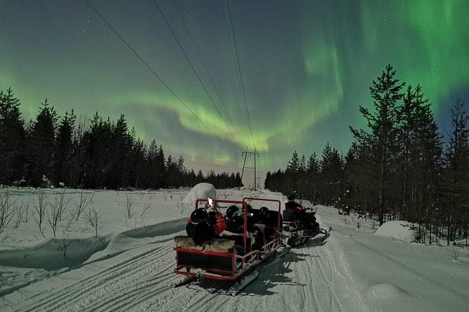 Northern Lights Sledge Ride - Who should book, and who might want a different aurora option