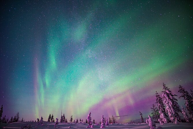 Northern Lights Snowmobile Sledge Ride in Rovaniemi - Key things I’d watch for before you book