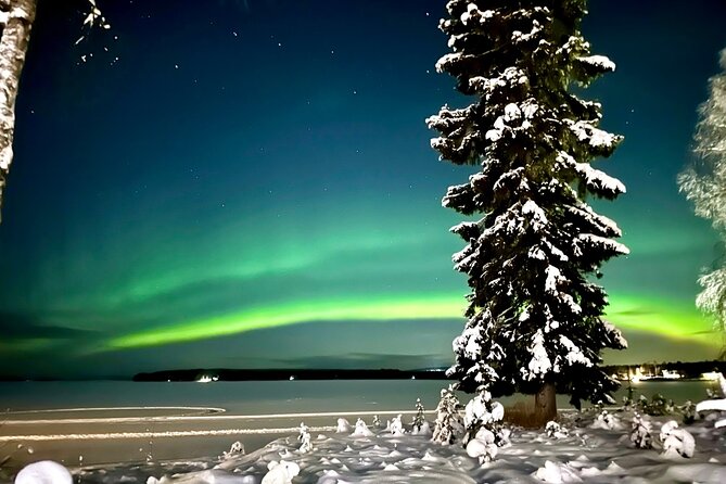 Northern Lights Tour Snowmobile Driving - Key Highlights You Should Know Before You Go