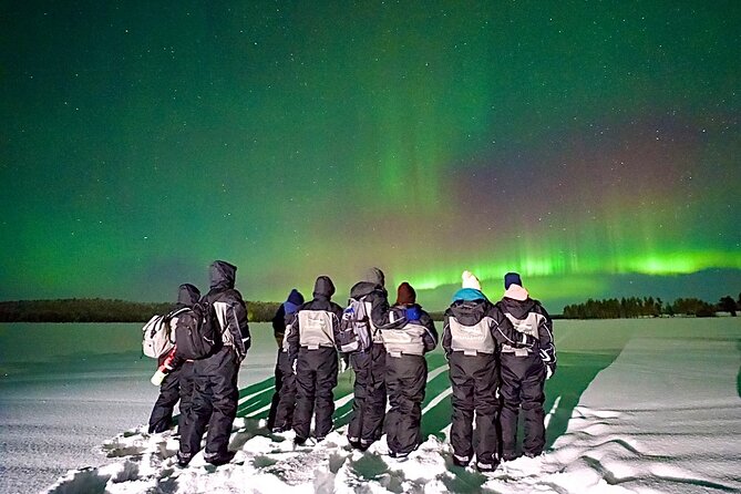 Northern Lights Tour Snowmobile Driving - Why Snowmobile Driving Is a Smart Aurora Plan in Rovaniemi