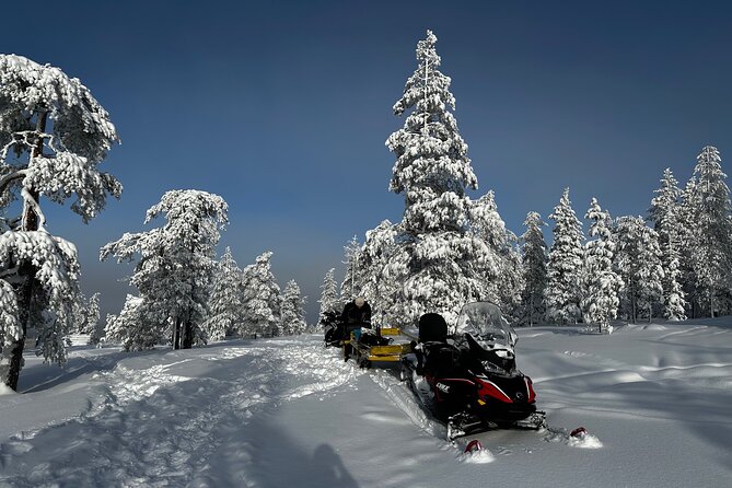 Northern Lights Tour Snowmobile Driving - The 3-Hour Schedule: What It Really Feels Like